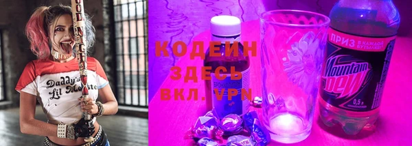 ECSTASY Алзамай